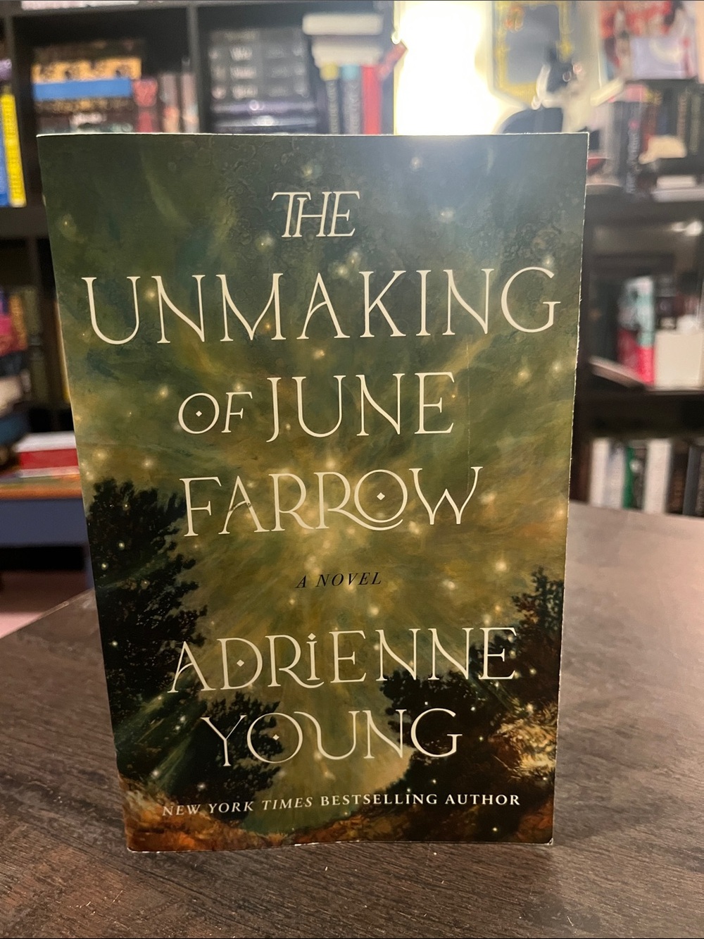 The Unmaking of June Farrow by Adrienne Young - Paperback
